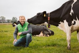 Campina Open Boerderijdagen 2026: boerderijen in Zuid-Holland open voor publiek