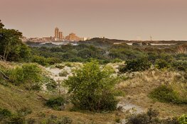 Officiële status nationaal park voor Hollandse Duinen