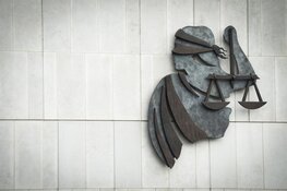 Cel en tbs met dwang geëist voor doodslag op broer